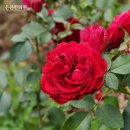 칠곡대신의원 이미지