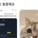 카페인중독 - 성동구 마장로 137 | 카페인중독