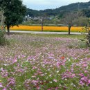 농업기술센터 화장실 이미지