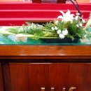 박현순헤어 이미지