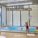 한가족펜션 | 경주 가성비 풀빌라 비클래시 글램풀 경주신계점 미온수풀 글램핑 경주 독채펜션