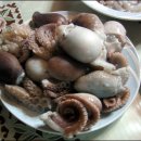 행복한 식탁 이미지