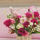 부천서초등학교병설유치원 이미지