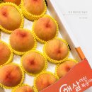 의성종합운동장 | 로컬푸드직매장] 제철 복숭아와 자두 구입 후기~🍑 (의성군 / 의성군로컬푸드직매장 / 복숭아 / 자두...