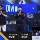 디바인퍼피 이미지