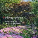 송림카써비스 이미지