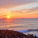 신년해맞이축제 이미지