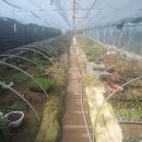 삼아농장 이미지