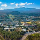 제주대학교 사라캠퍼스 이미지