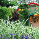 원주허브팜식물박물관 이미지