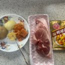 오늘카레 이미지