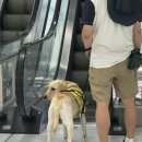 차차차 태권도장 이미지