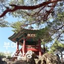 부여(사비)-02 | 충남부여 관광지 부소산성 낙화암 백화암 삼천궁녀 유람선