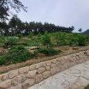 대지농장 이미지