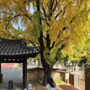 아산곡교천야영장 이미지