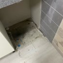 강은진 | 연말이자나