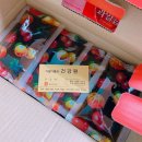 가월가물치