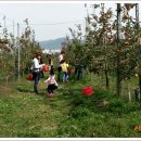 준서네 농장 이미지