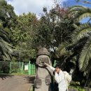 서귀포시 테니스공원 이미지