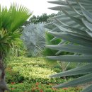 그린벨리 이미지