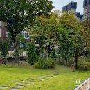 사대부중학교 이미지