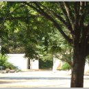 의흥동부초 이미지