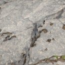 울주 대곡리 반구대 암각화 이미지