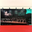 아트전자타운 | 🎼<디토 오케스트라 with 신지아 : BAC 초이스> 후기 - 부천아트센터