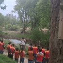 작은나무 이미지