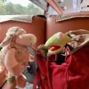 십리벚꽃산장 이미지