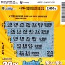 하얀꽃집로또 이미지