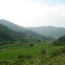 형제농장 3 Daum카페
