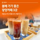 더리틀포트 이미지