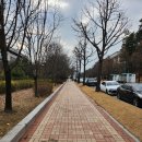 장기도서관 | 국회도서관 전자책 대여를 위해서 아드님과 장기열람증 받아온 후기