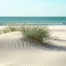 정신건강론 이미지