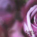 나라의료기 이미지