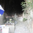 산방산의 품 이미지