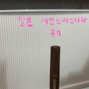세잔느 | 일본 화장품 추천 세잔느 마스카라 사용 후기 내돈내산