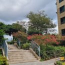 에듀시티로239번길 이미지