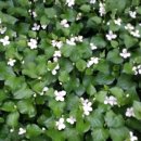 국사봉 농장 이미지