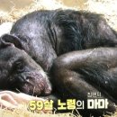 봄햄농장 네이버블로그