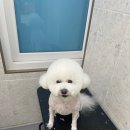 더키움 동물병원 이미지