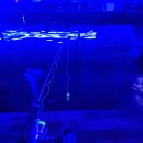 실내족구장 | 나만 아는 평택 실내낚시터 저렴하고 아이와 함께 갈수 있는 후기