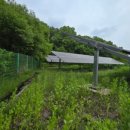 이안 태양광발전소 이미지