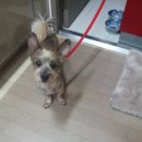 금산 캔넬 이미지