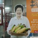 대운올챙이