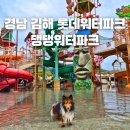 댕댕샤워 | 김해롯데워터파크종일권 댕댕 워터 파크 필수품