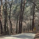 계곡힐링스카이 | 울진 불영사 동해 비구니 사찰 불영계곡과 금강송 산책로가 멋진 고찰