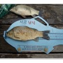 용곡낚시터 이미지