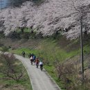 부산 자사모라이딩팀 섬진강 종주 벚꽃길 자전거타기여행(24.3.30-3.31) 2 이미지